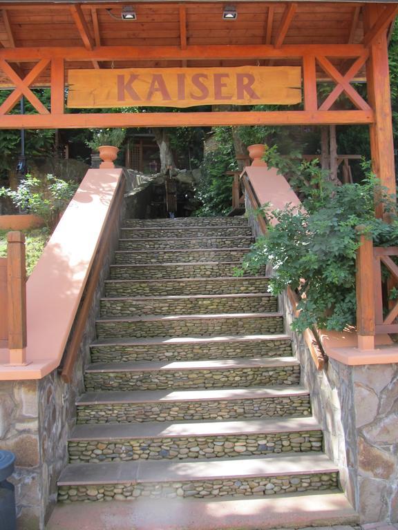 Kaiser Hotel チェルニウツィー エクステリア 写真